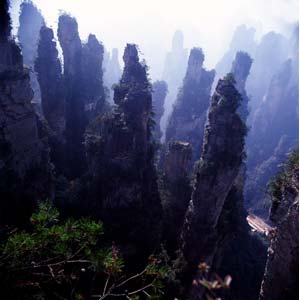 【純玩拼團線路】下午班：鳳凰古城、張家界、天子山三晚四日游