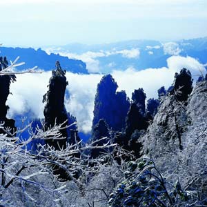 LD線：張家界、天子山、楊家界、猛洞河漂流純玩四日游