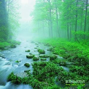 【純玩散拼尊享系列3】張家界、天子山、袁家界、黃龍洞、鳳凰三晚四日游